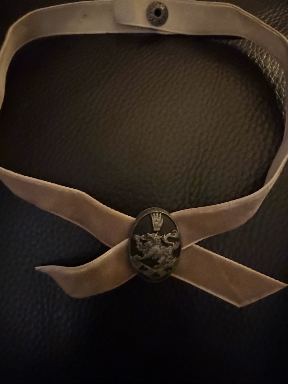 Twilight Saga New Moon ALICE CHOKER NECKLACE